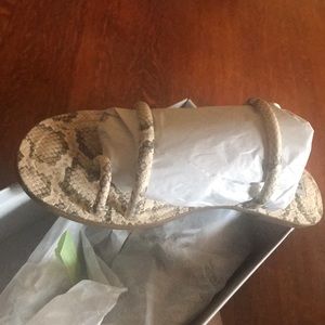 Steve Madden Electrify